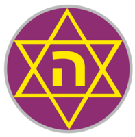 #1172 – Hakoah Amidar Ramat Gan : הסגולים